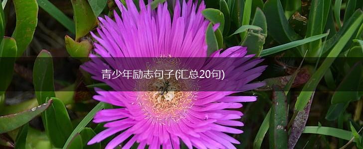 青少年励志句子(汇总20句),第1张