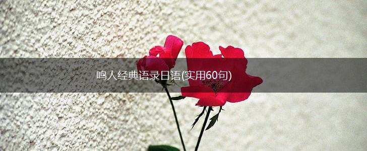 鸣人经典语录日语(实用60句),第1张