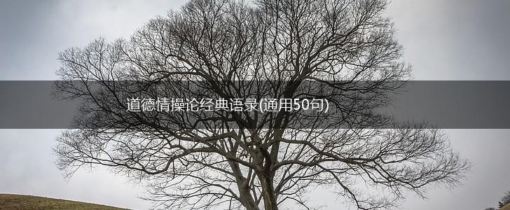 道德情操论经典语录(通用50句),第1张