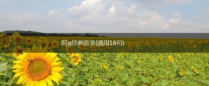 阿q经典语录(通用16句),第1张