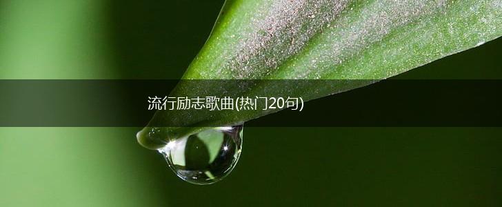 流行励志歌曲(热门20句),第1张