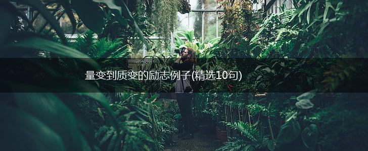 量变到质变的励志例子(精选10句),第1张
