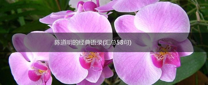 陈道明的经典语录(汇总58句),第1张