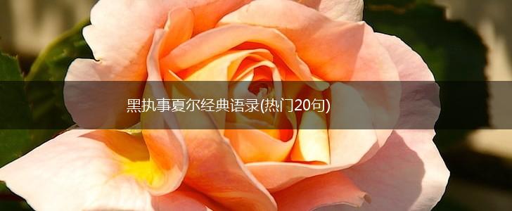 黑执事夏尔经典语录(热门20句),第1张
