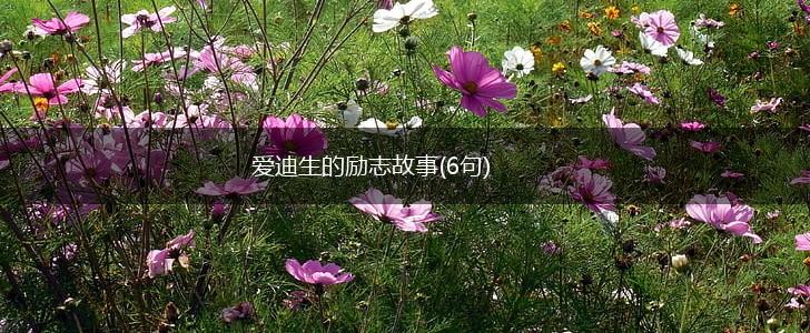 爱迪生的励志故事(6句),第1张