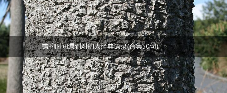错的时间遇到对的人经典语录(合集50句),第1张