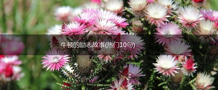 牛顿的励志故事(热门10句),第1张