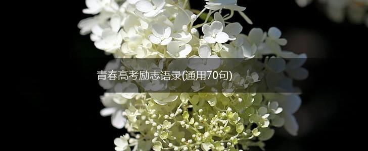 青春高考励志语录(通用70句),第1张
