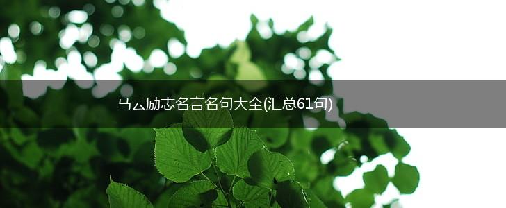 马云励志名言名句大全(汇总61句),第1张