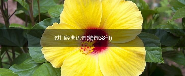 过门经典语录(精选38句),第1张 过门经典语录(精选38句),第1张