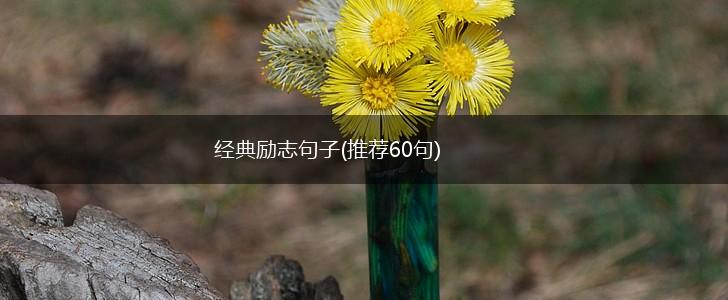 经典励志句子(推荐60句),第1张 经典励志句子(推荐60句),第1张