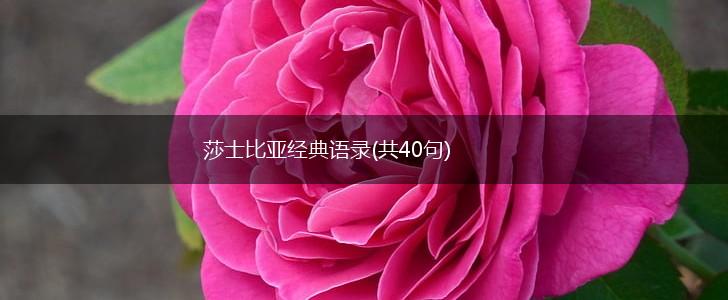 莎士比亚经典语录(共40句),第1张