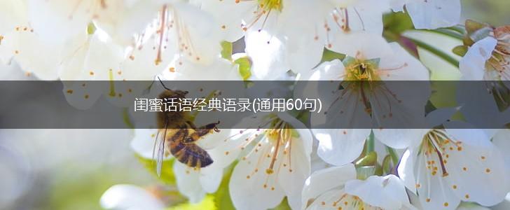 闺蜜话语经典语录(通用60句),第1张