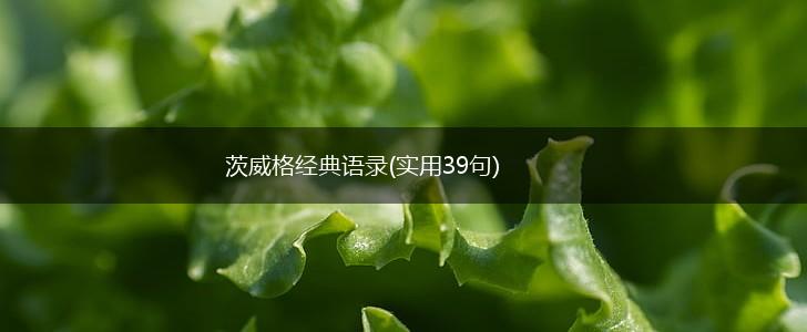 茨威格经典语录(实用39句),第1张