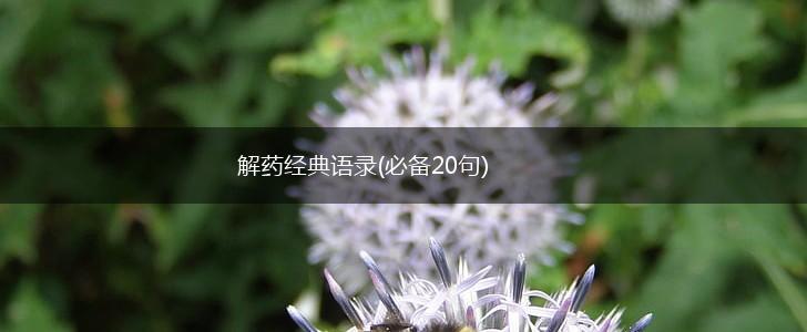 解药经典语录(必备20句),第1张 解药经典语录(必备20句),第1张