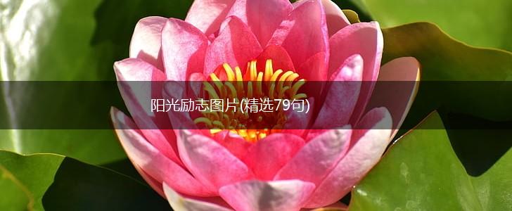 阳光励志图片(精选79句),第1张