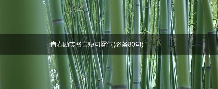 青春励志名言短句霸气(必备80句),第1张