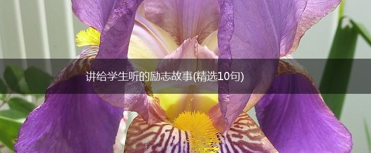 讲给学生听的励志故事(精选10句),第1张