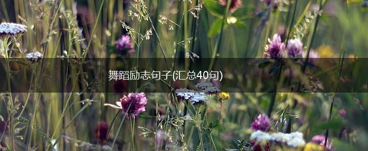 舞蹈励志句子(汇总40句),第1张