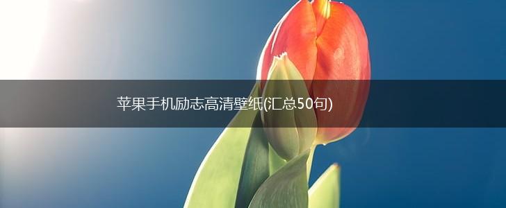 苹果手机励志高清壁纸(汇总50句),第1张