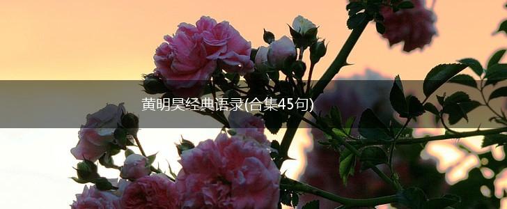 黄明昊经典语录(合集45句),第1张