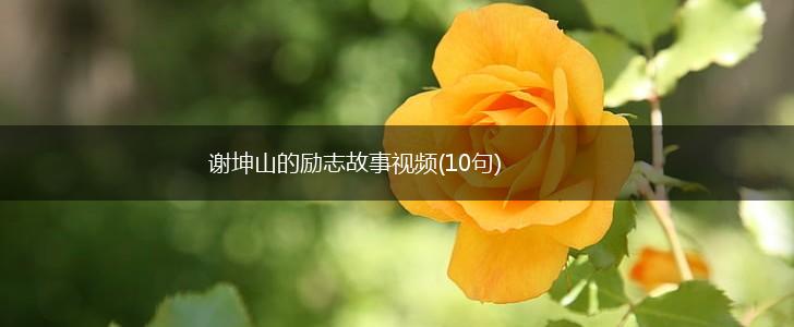 谢坤山的励志故事视频(10句),第1张