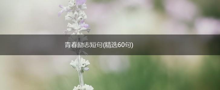 青春励志短句(精选60句),第1张