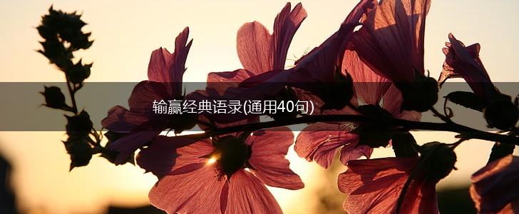 输赢经典语录(通用40句),第1张