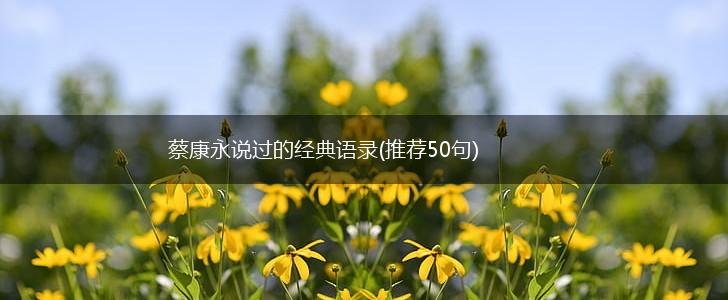 蔡康永说过的经典语录(推荐50句),第1张