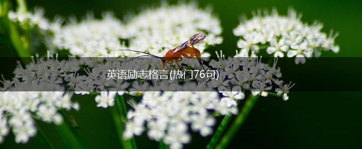 英语励志格言(热门76句),第1张