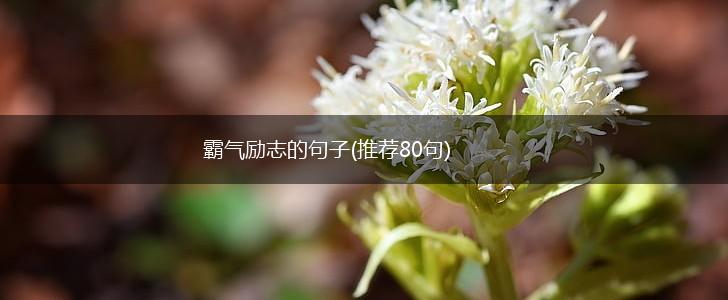 霸气励志的句子(推荐80句),第1张