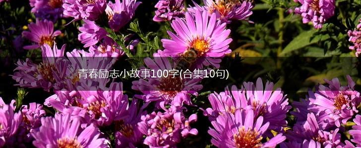 青春励志小故事100字(合集10句),第1张