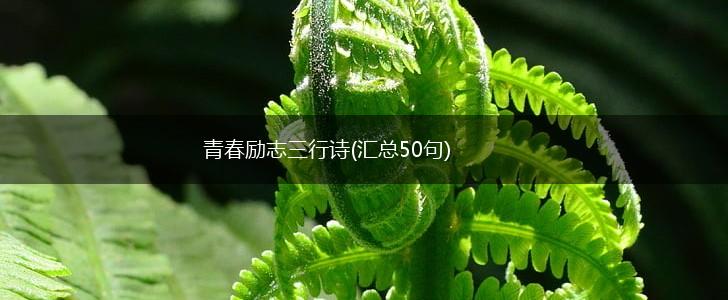 青春励志三行诗(汇总50句),第1张