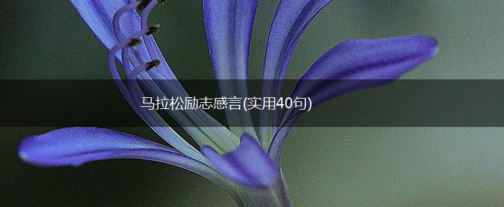 马拉松励志感言(实用40句),第1张
