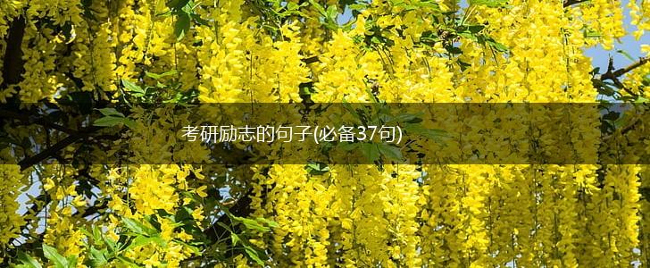 考研励志的句子(必备37句),第1张 考研励志的句子(必备37句),第1张