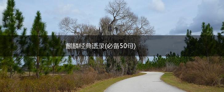 麒麟经典语录(必备50句),第1张