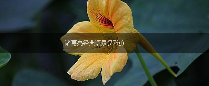 诸葛亮经典语录(77句),第1张