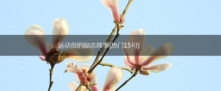 运动员的励志故事(热门15句),第1张