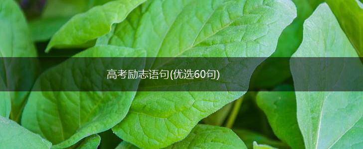 高考励志语句(优选60句),第1张