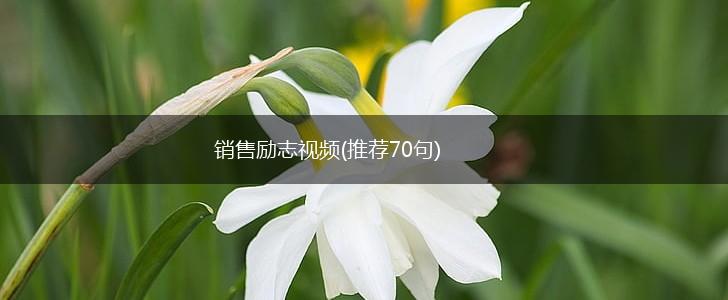 销售励志视频(推荐70句),第1张