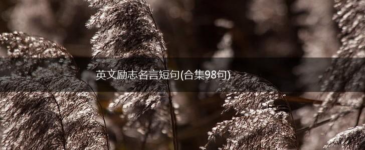 英文励志名言短句(合集98句),第1张 英文励志名言短句(合集98句),第1张