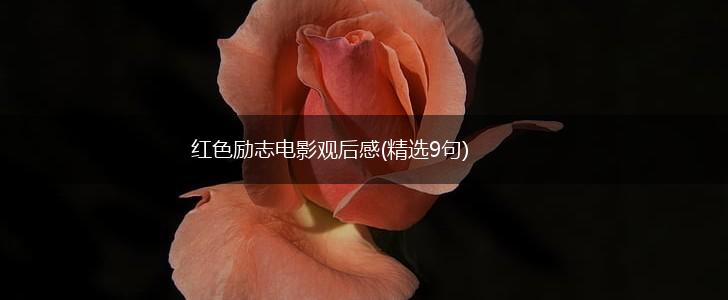 红色励志电影观后感(精选9句),第1张 红色励志电影观后感(精选9句),第1张