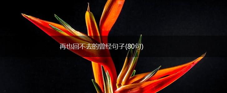 再也回不去的曾经句子(80句),第1张