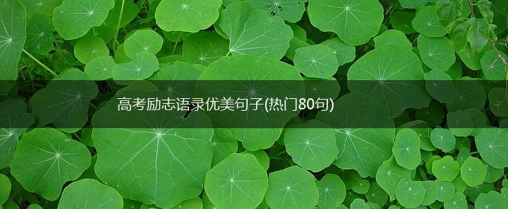 高考励志语录优美句子(热门80句),第1张