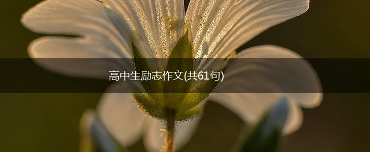 高中生励志作文(共61句),第1张