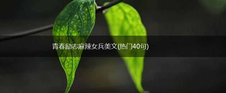 青春励志麻辣女兵美文(热门40句),第1张