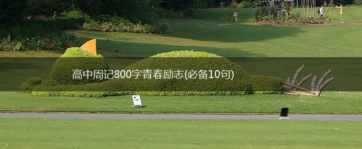 高中周记800字青春励志(必备10句),第1张