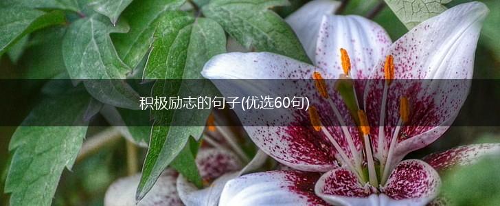 积极励志的句子(优选60句),第1张