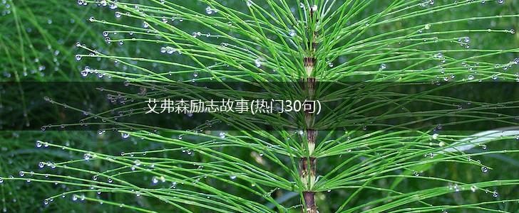 艾弗森励志故事(热门30句),第1张