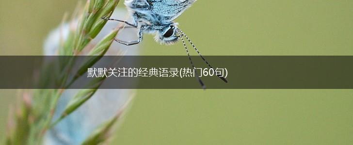 默默关注的经典语录(热门60句),第1张